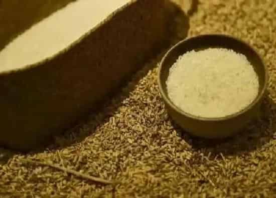 植物浇水|化肥水可以直接浇花吗 怎么使用正确