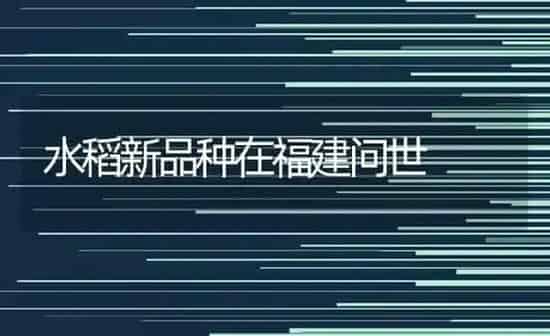 今春枣树要重管 | 瓜果种植