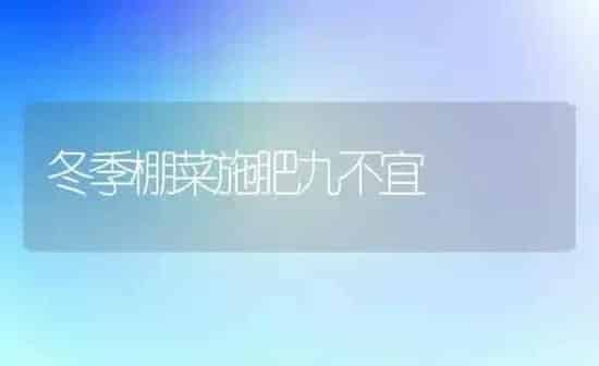 冬季棚菜施肥九不宜 | 种植肥料施肥