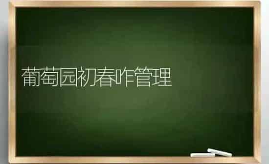 葡萄园初春咋管理 | 瓜果种植