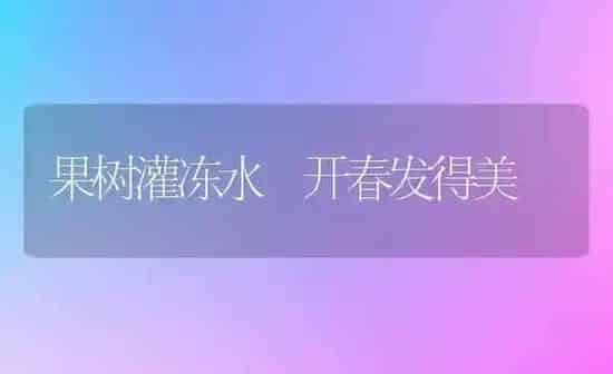 果树灌冻水 开春发得美 | 瓜果种植