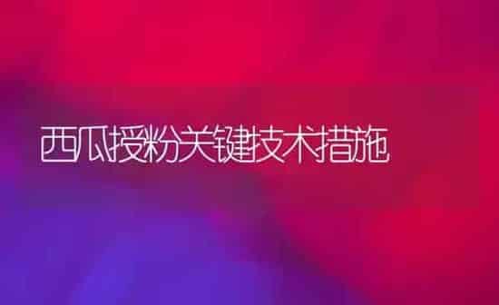 西瓜授粉关键技术措施 | 瓜果种植