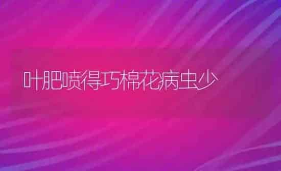 叶肥喷得巧棉花病虫少 | 粮油作物种植
