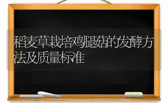 稻麦草栽培鸡腿菇的发酵方法及质量标准 | 食用菌种植