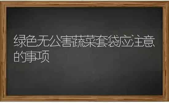 秋茬西红柿定植后要及时防治病毒病 | 蔬菜种植