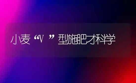 小麦“V”型施肥才科学 | 粮油作物种植