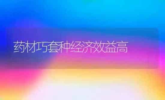 药材巧套种经济效益高 | 药材种植