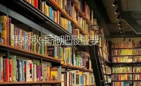 果树秋季施肥最重要 | 瓜果种植
