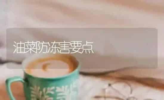 油菜防冻害要点 | 粮油作物种植