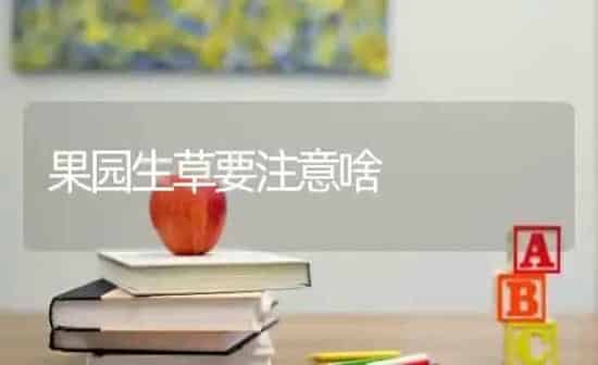 果园生草要注意啥 | 瓜果种植