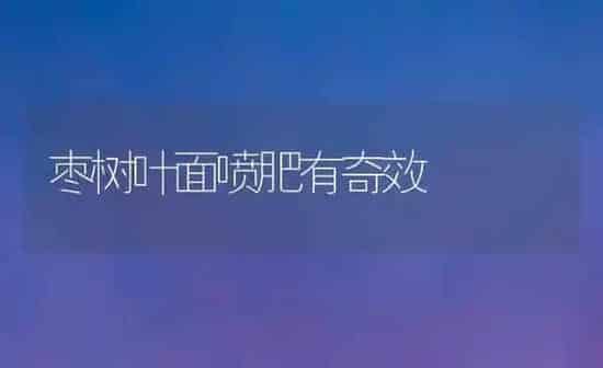 枣树叶面喷肥有奇效 | 瓜果种植