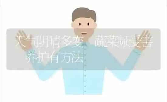 天气阴晴多变 蔬菜频受害 养护有方法 | 蔬菜种植