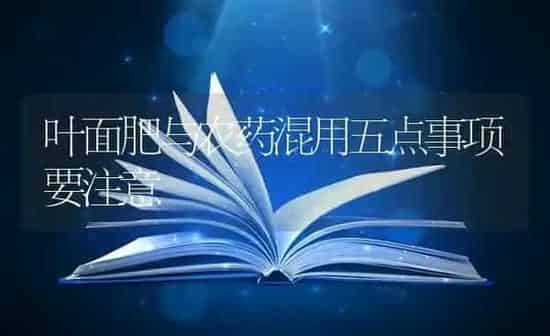 叶面肥与农药混用五点事项要注意 | 种植病虫害防治