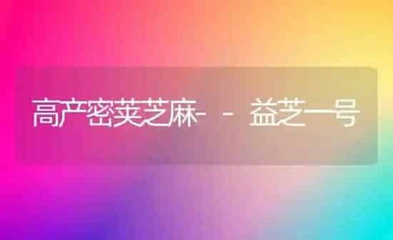 高产密荚芝麻--益芝一号 | 粮油作物种植