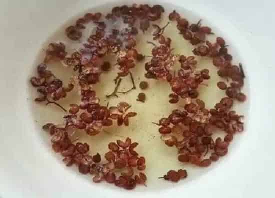 植物浇水|花椒水可以浇花吗