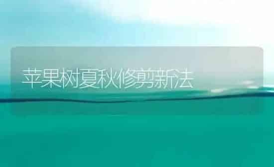 苹果树夏秋修剪新法 | 瓜果种植