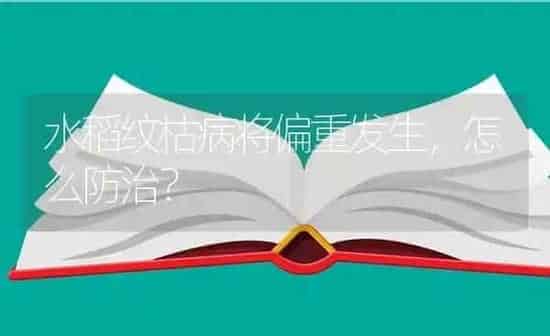 水稻纹枯病将偏重发生,怎么防治? | 粮油作物种植