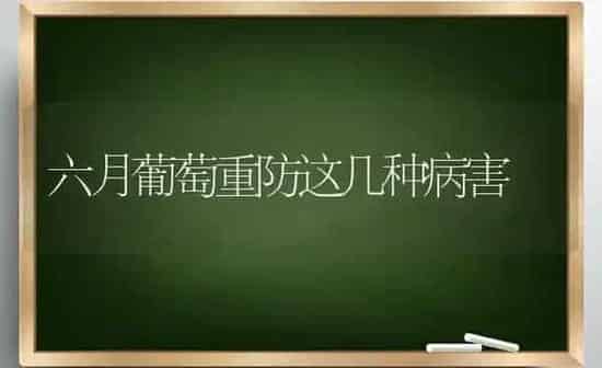 六月葡萄重防这几种病害 | 瓜果种植