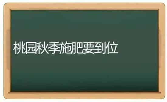 桃园秋季施肥要到位 | 种植肥料施肥