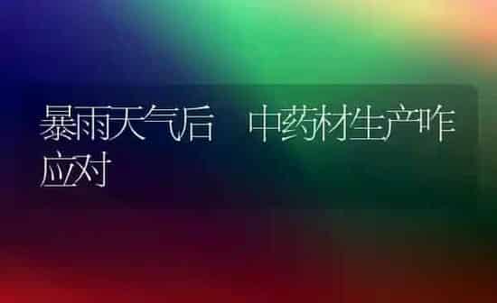 暴雨天气后 中药材生产咋应对 | 药材种植