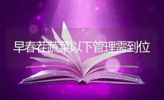 早春茬蔬菜以下管理需到位 | 蔬菜种植