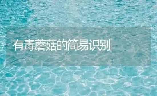 有毒蘑菇的简易识别 | 食用菌种植