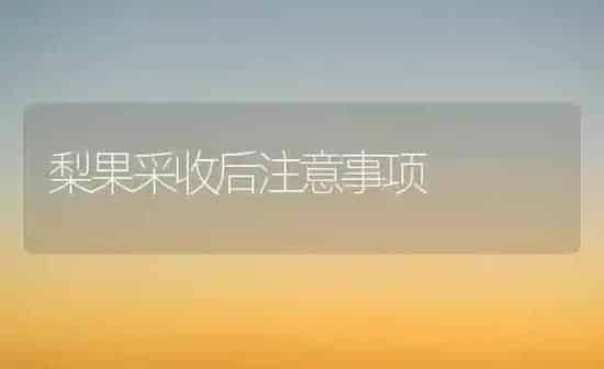 梨果采收后注意事项 | 瓜果种植