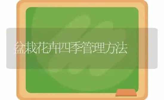 中药材易受冻害春季这样管 | 药材种植