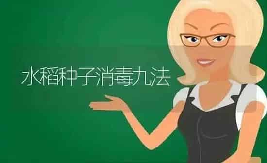 水稻种子消毒九法 | 粮油作物种植