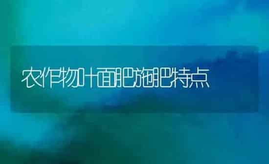 农作物叶面肥施肥特点 | 种植肥料施肥