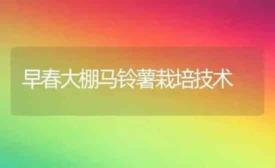 早春大棚马铃薯栽培技术 | 粮油作物种植