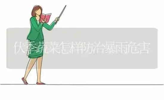 伏季蔬菜怎样防治暴雨危害 | 蔬菜种植