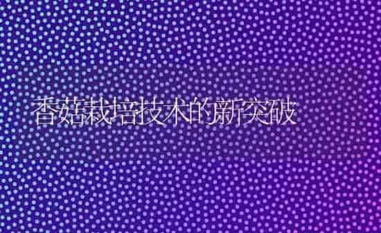 香菇栽培技术的新突破 | 食用菌种植