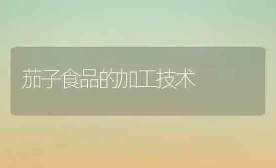 茄子食品的加工技术 | 蔬菜种植