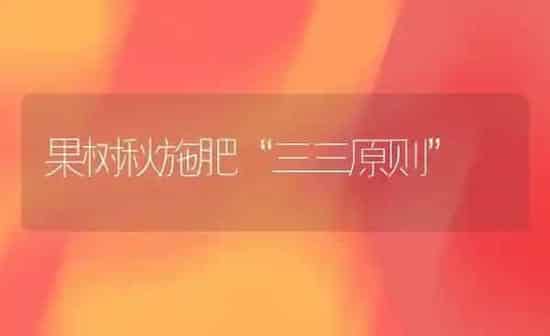 果树秋施肥“三三原则” | 瓜果种植