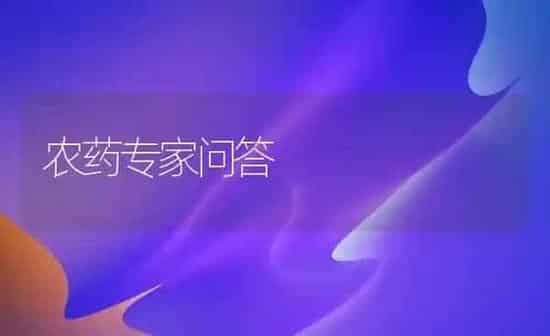 农药专家问答 | 种植病虫害防治