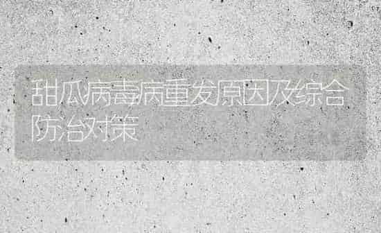 甜瓜病毒病重发原因及综合防治对策 | 瓜果种植