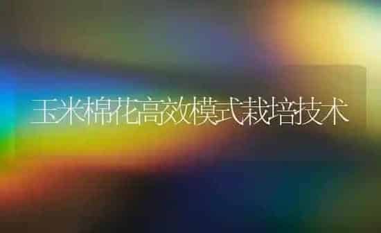 玉米棉花高效模式栽培技术 | 粮油作物种植