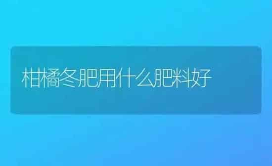 柑橘冬肥用什么肥料好 | 种植肥料施肥