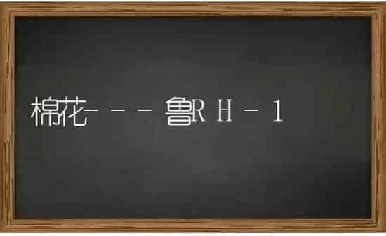 棉花---鲁RH-1 | 粮油作物种植