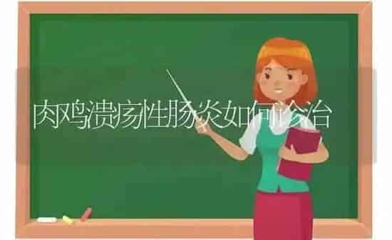 夏菜秧苗徒长怎样防 | 蔬菜种植