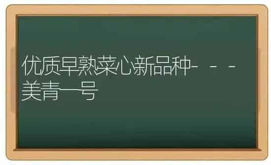 优质早熟菜心新品种---美青一号 | 蔬菜种植