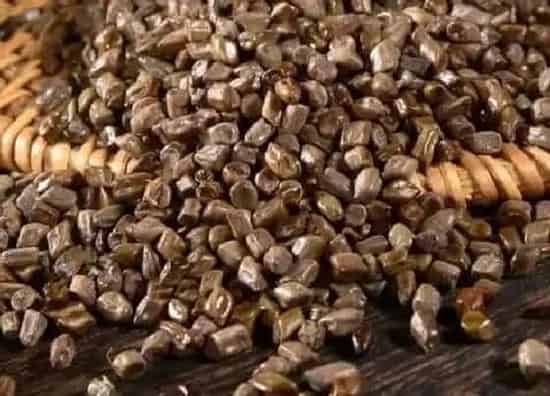 功效常识|决明子的功效与作用及食用方法