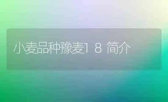 小麦品种豫麦18简介 | 粮油作物种植