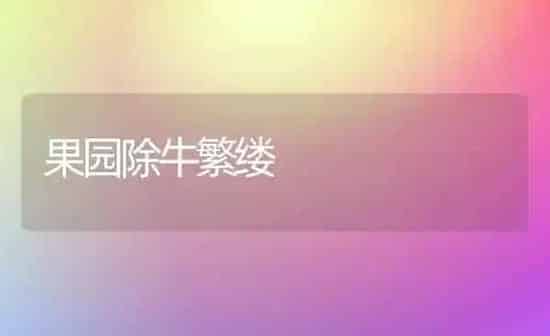 果园除牛繁缕 | 瓜果种植