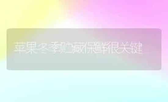 苹果冬季贮藏保鲜很关键 | 瓜果种植
