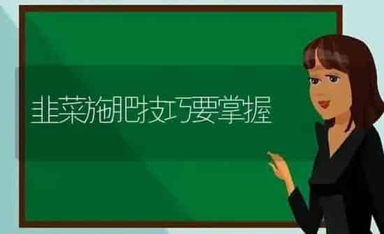 韭菜施肥技巧要掌握 | 种植肥料施肥