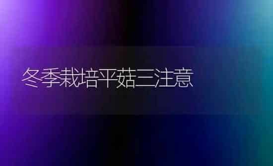 冬季栽培平菇三注意 | 食用菌种植