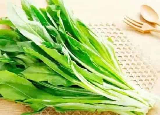 叶子|莴笋叶子和油麦菜区别