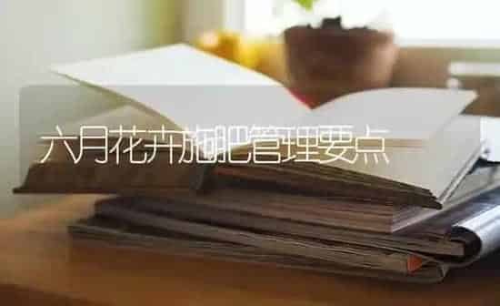 六月花卉施肥管理要点 | 种植肥料施肥